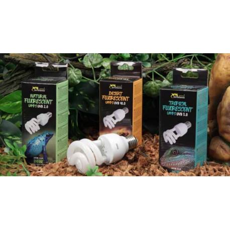 Editar: Lâmpada UVB 10.0 Desert Fluorescent - Terratlantis