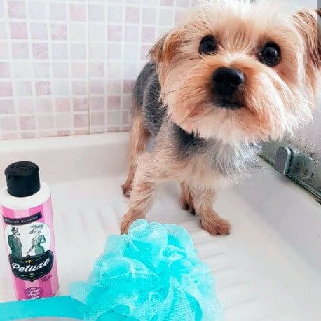 Shampoo p/ Pêlos Longos - Petuxe