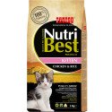 Kitten - Nutribest