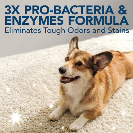 Spray Removedor de Manchas e Odores Extreme - Simple Solution
