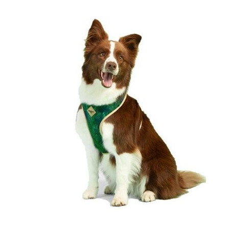 Peitoral Bold Amazónia - Dog.U