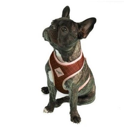 Peitoral Bold Paris - Dog.U