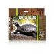 Ilha Flutuante Turtle Island - Reptiles Planet