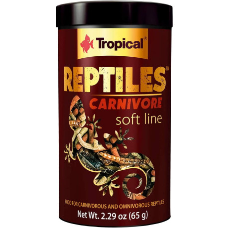 Reptiles Carnivore - Tropical