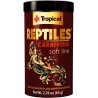 Reptiles Carnivore - Tropical