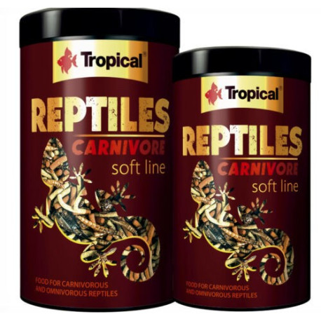 Reptiles Carnivore - Tropical