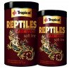 Reptiles Carnivore - Tropical