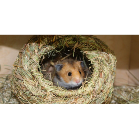Ninho Redondo em Feno - TRIXIE