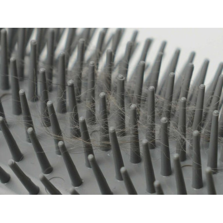 Escova Elevada com Catnip Senses 2.0 - Catit