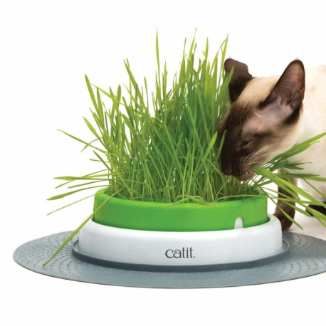 Kit de Recarga para Germinador Senses 2.0 - Catit