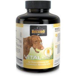 Vital-Tabs - Belcando