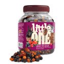 Snack Mix de Bagas - Little One