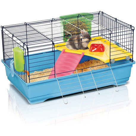 Gaiola Ronny - Imac