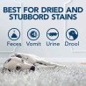 Detergente Extreme Carpet Shampoo - Simple Solution