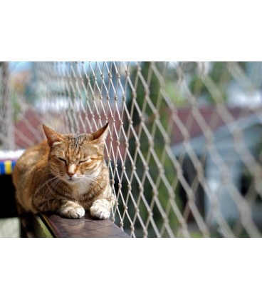 Rede de proteção para Gatos Transparente - TRIXIE