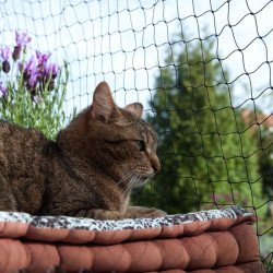 Rede Proteção Preta para Gatos - TRIXIE