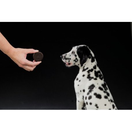 Snack Bolachas de Chocolate com recheio - TRIXIE