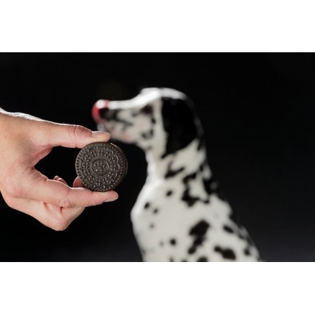 Snack Bolachas de Chocolate com recheio - TRIXIE