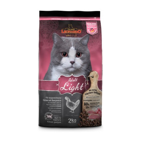 Adult Light - Leonardo