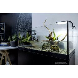 Tartarugueira Aquaterrarium - AquaEL