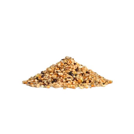 Alimento Mix de Sementes para Exóticos - RIO