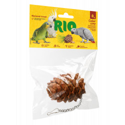 Snack Pinha de Cedro - RIO