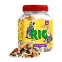 Snack Mix de Fruta Desidratada e Frutos Secos - RIO