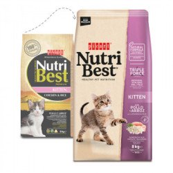 Kitten - Nutribest