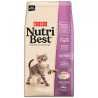 Kitten - Nutribest