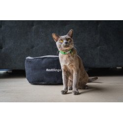 Medalha c/ Leão - Red Dingo