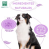 Coleira Repelente Natural - Men for San