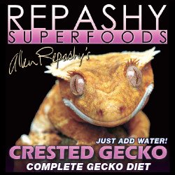 Crested Gecko - Repashy