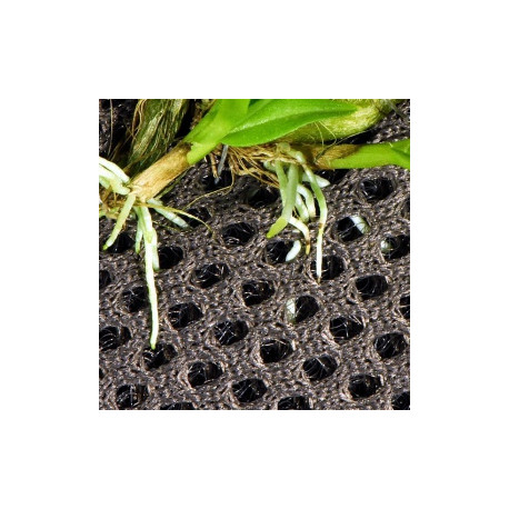 Malha para plantas Rainforest plant cotton - Reptizoo