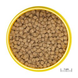 NovoLotl M - JBL