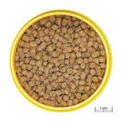 NovoLotl M - JBL
