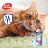 Desodorizante Spring Breeze para Tapetes e Carpetes - Simple Solution