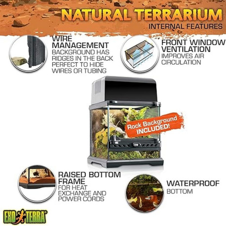 Exo Terra Terrário Nano Wide