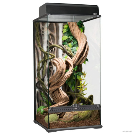 Exo Terra Terrário Small X-Tall 45x45x90