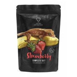 Strawberry - Gecko Nutrition
