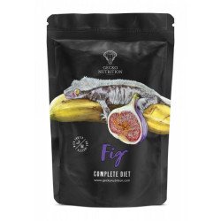 Fig - Gecko Nutrition