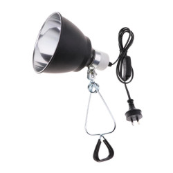 Suporte de Mola para Dome / cúpula metálica