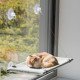 Hammock | Plataforma para Janela - TRIXIE