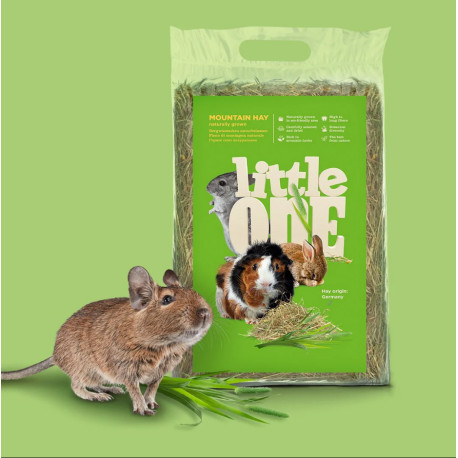 Feno da Montanha - LIttle One