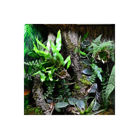 Tubos de Cortiça - TRIXIE