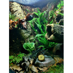 Tubos de Cortiça - TRIXIE