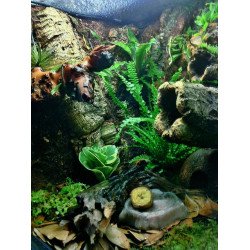 Tubos de Cortiça - TRIXIE