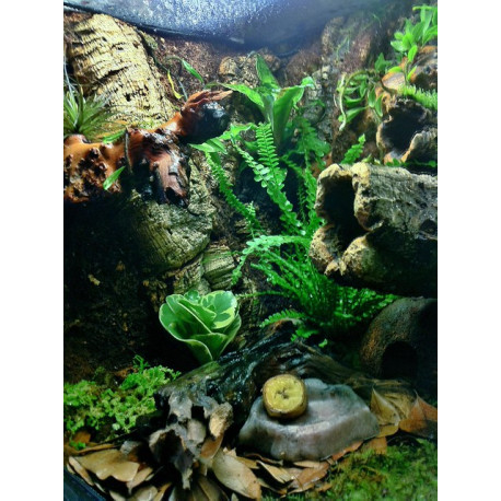 Tubos de Cortiça - TRIXIE