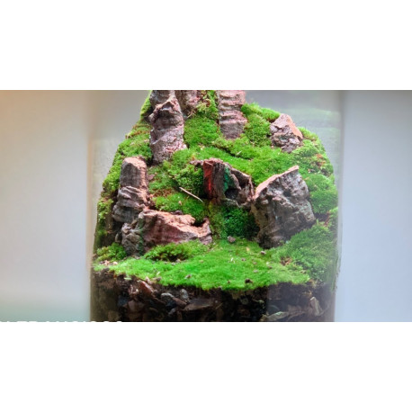 Pack de Casca de Cortiça - Sortido - TRIXIE