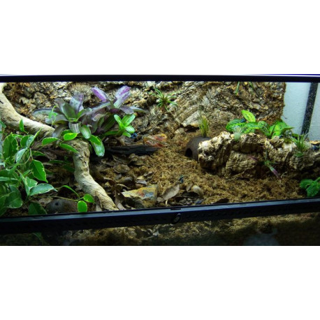 Placas de Cortiça - Meia Lua - TRIXIE