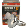 Lâmpada de Vapor de Mercúrio UVA UVB para Répteis R30 E27 80W Revestida - LUCKY HERP